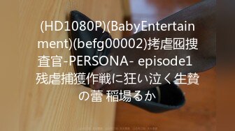 (HD1080P)(BabyEntertainment)(befg00002)拷虐囮捜査官-PERSONA- episode1 残虐捕獲作戦に狂い泣く生贄の蕾 稲場るか