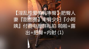 【淫乱性爱美乳丰臀】肥臀人妻『甜甜圈】丰臀少妇『小阿姨』付费电报群私拍 啪啪+露出+肥臀+内射 (1)