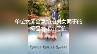 单位女厕全景偷拍美女同事的极品多毛小黑鲍