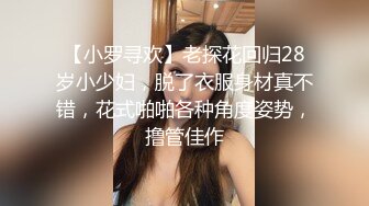 【小罗寻欢】老探花回归28岁小少妇，脱了衣服身材真不错，花式啪啪各种角度姿势，撸管佳作